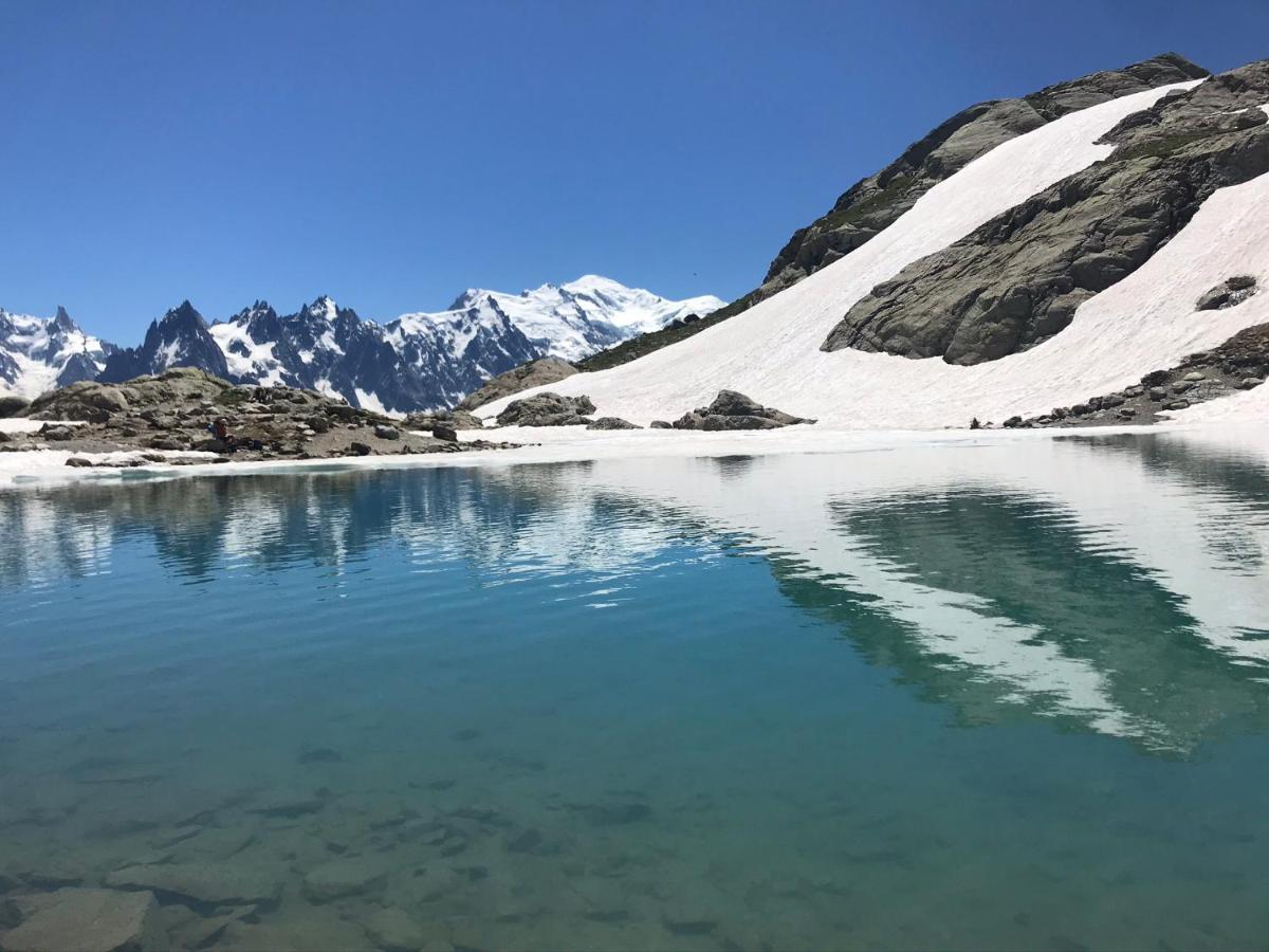 Marie Mont Blanc Vue Mont Blanc Saint-Gervais-les-Bains Exterior foto