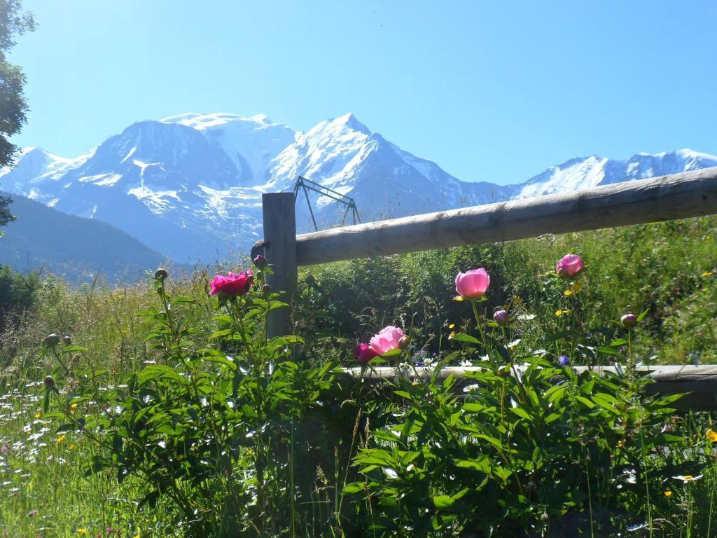 Marie Mont Blanc Vue Mont Blanc Saint-Gervais-les-Bains Exterior foto
